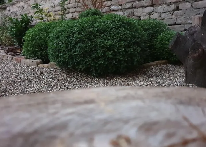 My سوبوتيتْسا