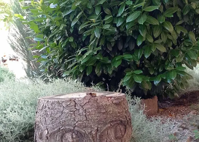 My * سوبوتيتْسا